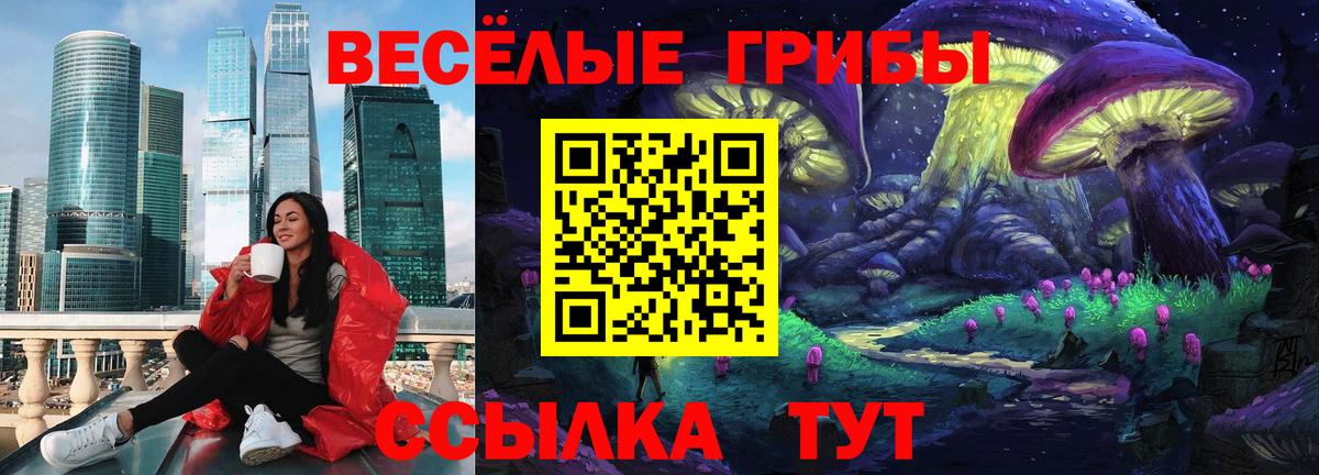 наркота  Псилоцибиновые грибы Cubensis  Галлюциногенные грибы Psilocybine cubensis  Вход с VPN  Севастополь 
