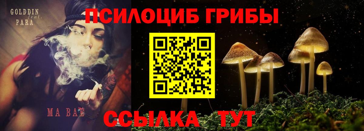 Галлюциногенные грибы ЛСД Севастополь